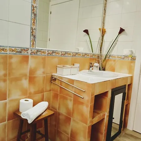 Mirador De Zocodover Toledo